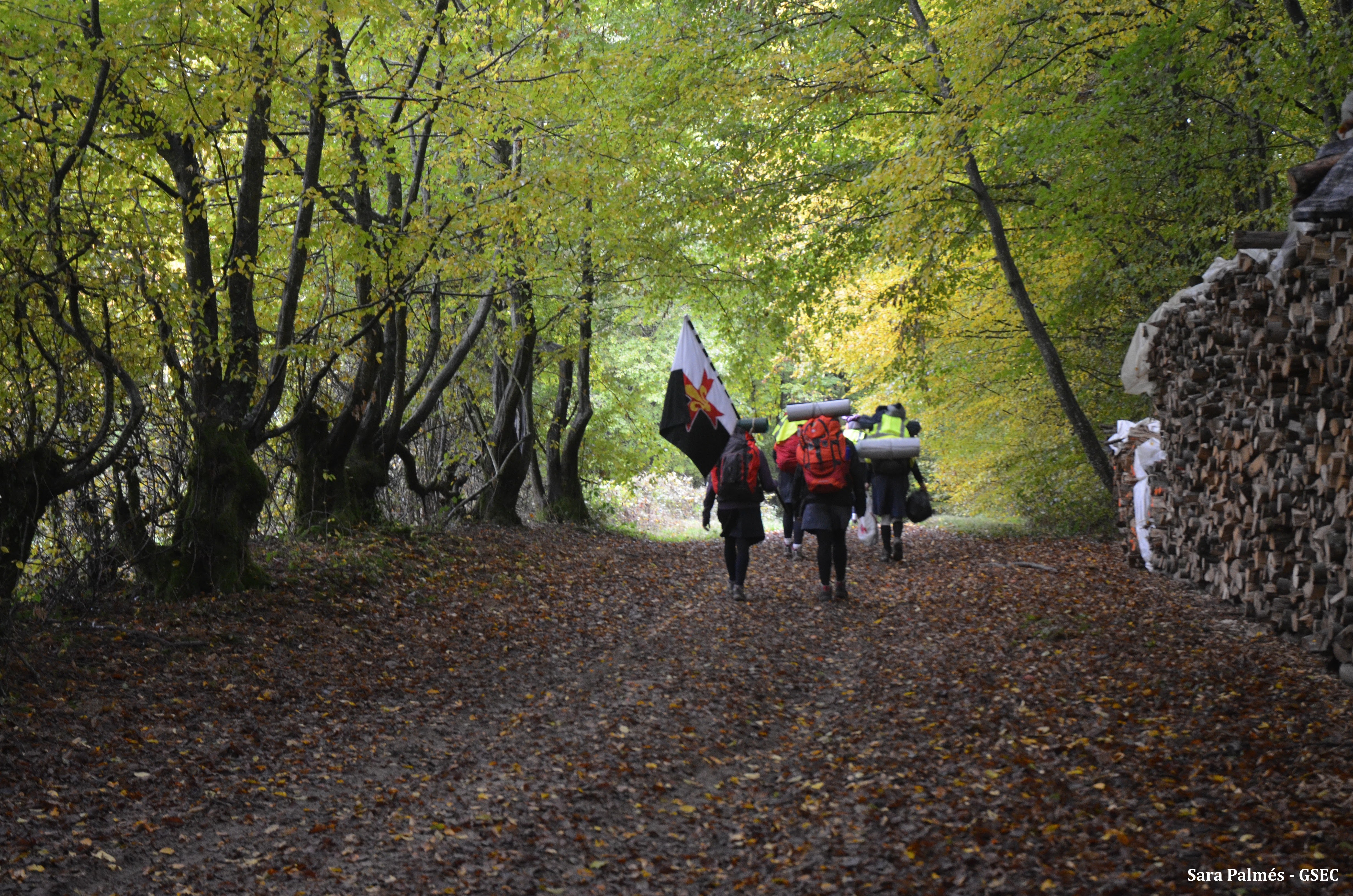 Ruta a Paray Le Monial 2016