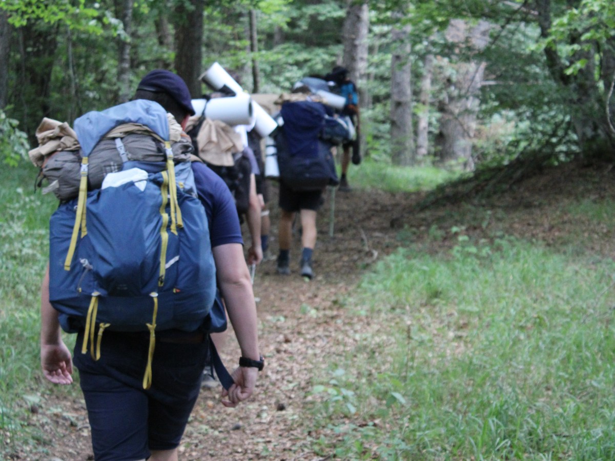 La cleda catòlica i el seu&nbsp;pastor
