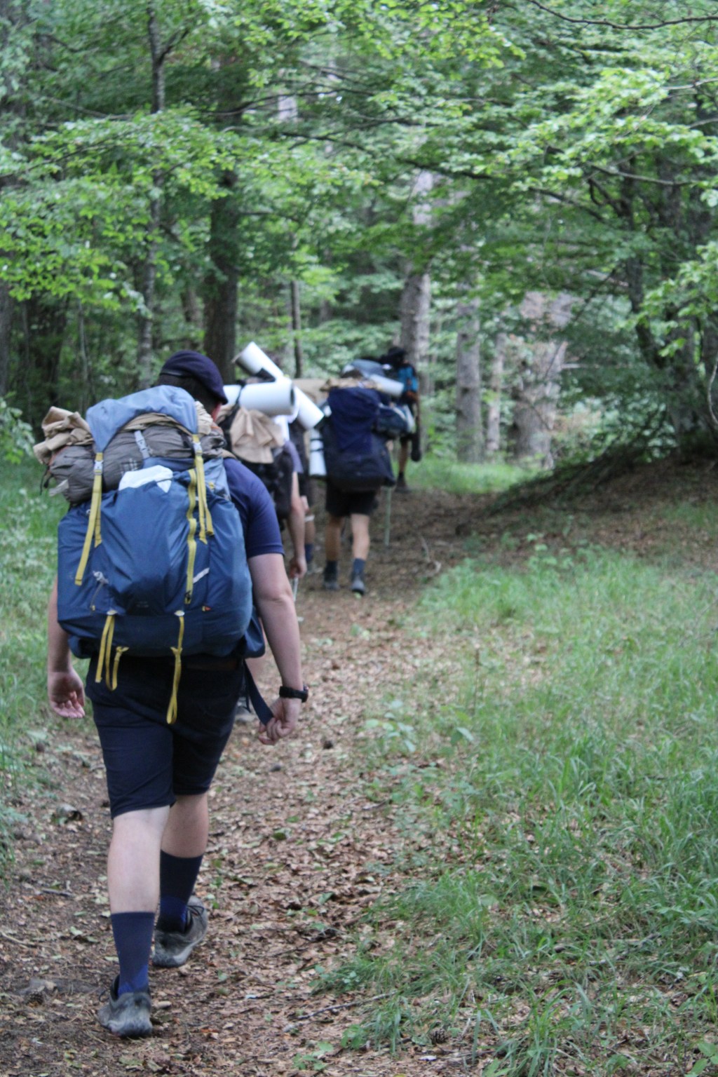 La cleda catòlica i el seu&nbsp;pastor